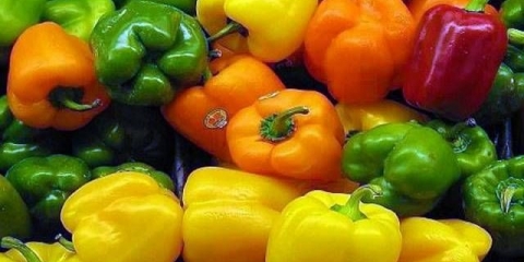 Biber za staklenik u predgrađu